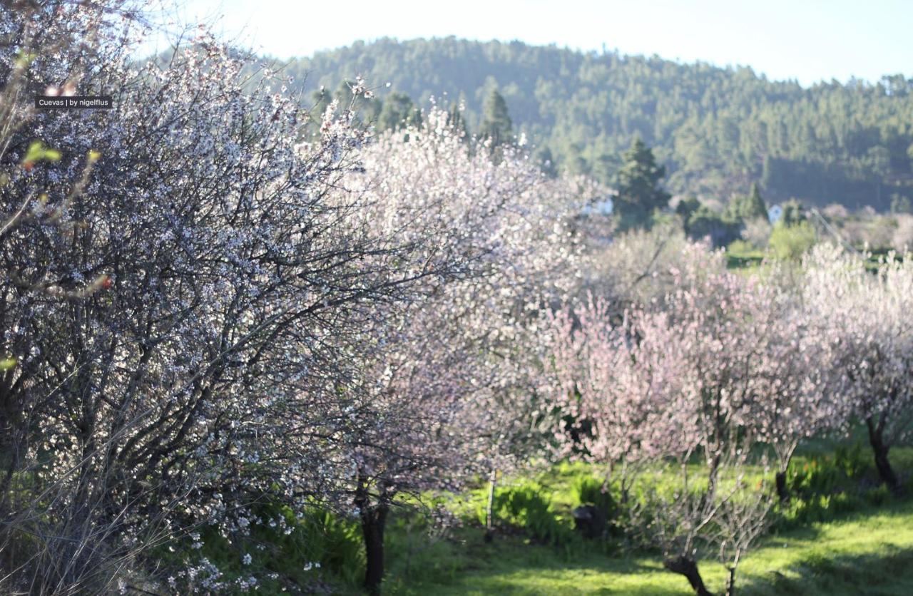 Casa Micaela Villa Garafia Bagian luar foto