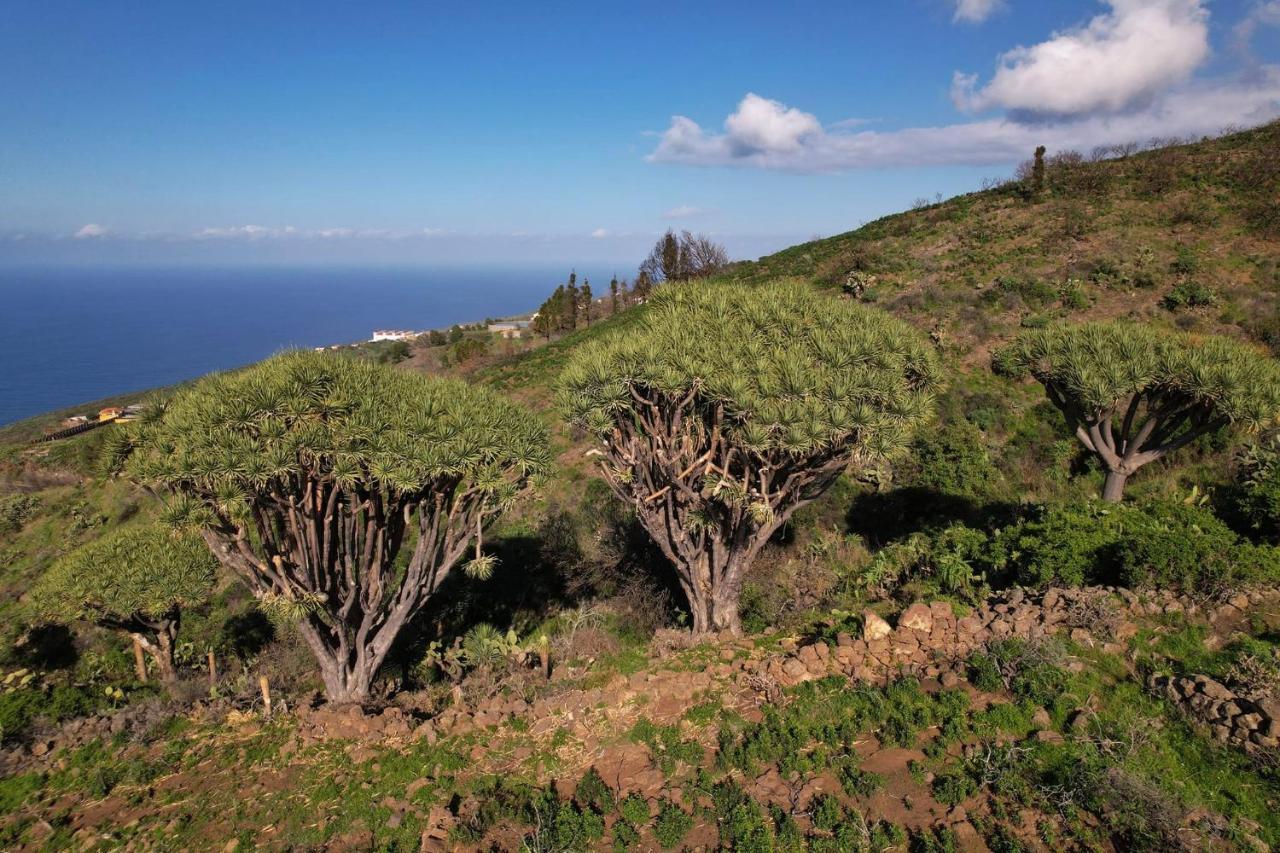 Casa Micaela Villa Garafia Bagian luar foto